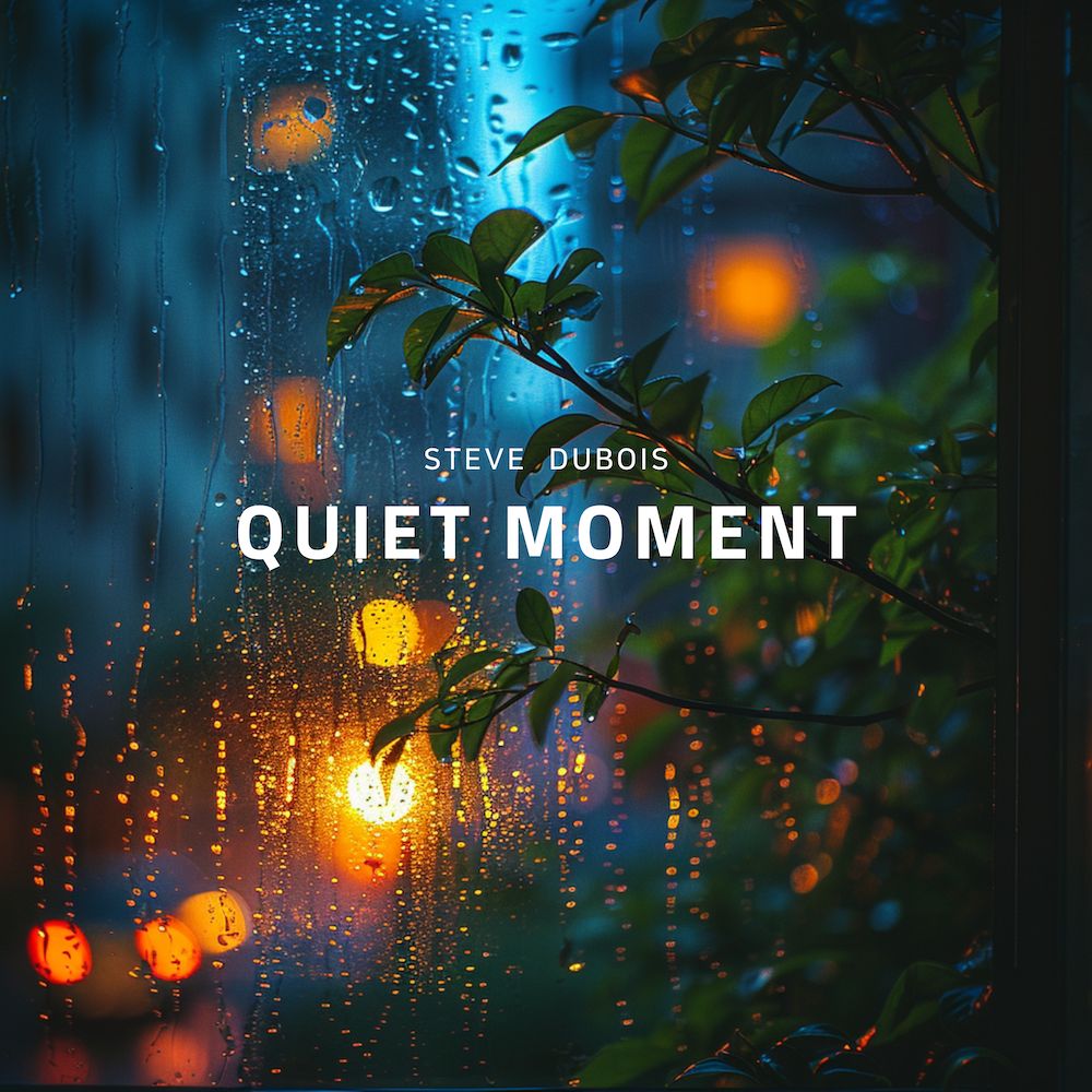 Quiet Moment - Steve Dubois